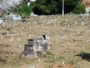 IR 2025: como fica declaração de pessoa falecida?