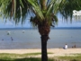 Prefeitura entrega contenção de encosta na Vila Solidária Mar Azul, em Tubarão, nesta sexta-feira